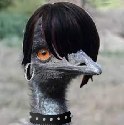 Emo Emu.png